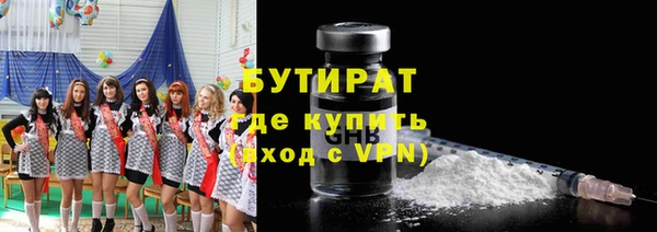индика Алзамай