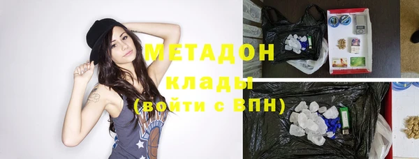 индика Алзамай