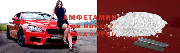 индика Алзамай