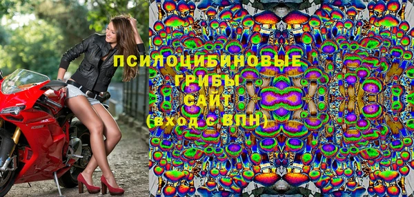 не бодяженный Алексин