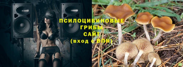 стафф Алексеевка