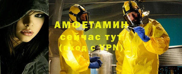 индика Алзамай