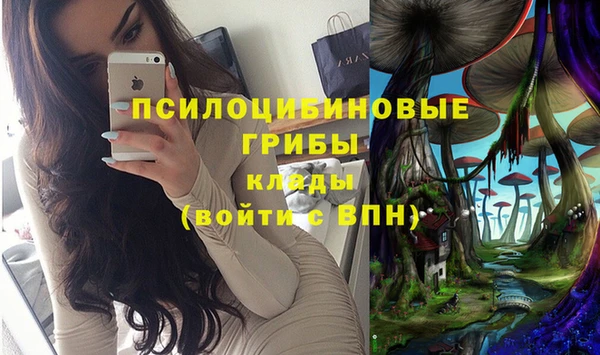 индика Алзамай