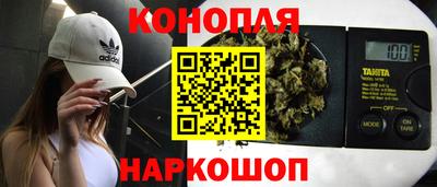 прущие грибы Можайск