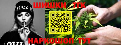 прущие грибы Можайск