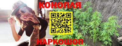 прущие грибы Можайск