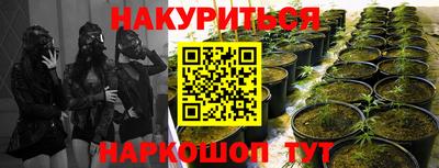 прущие грибы Можайск