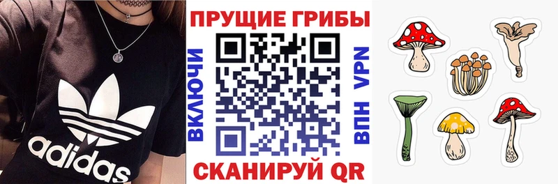 мега ссылка  Лиски  Псилоцибиновые грибы прущие грибы 