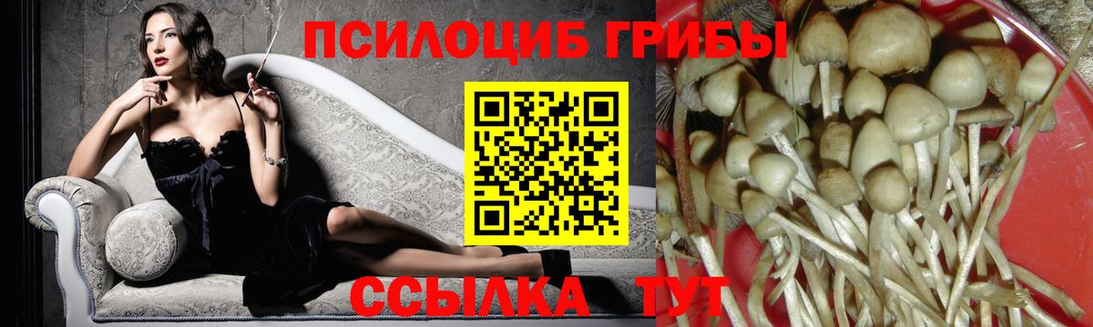 магазин  наркотиков  Псилоцибиновые грибы прущие грибы  Лиски  Вход с VPN  Галлюциногенные грибы ЛСД 